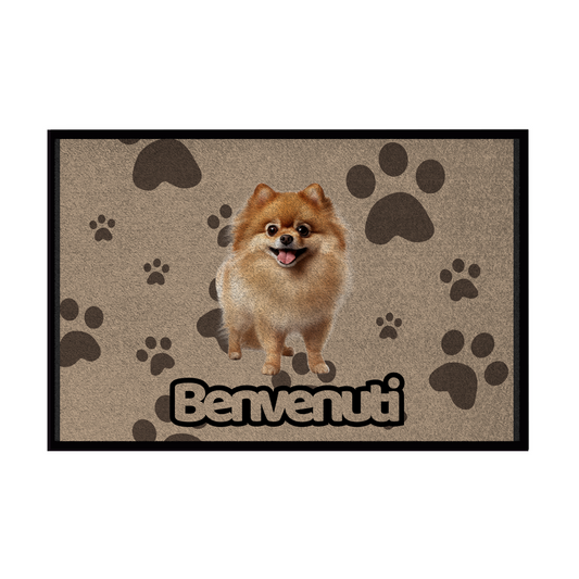 🐾 Zerbini -  Collezione Cani & Gatti - Benvenuti