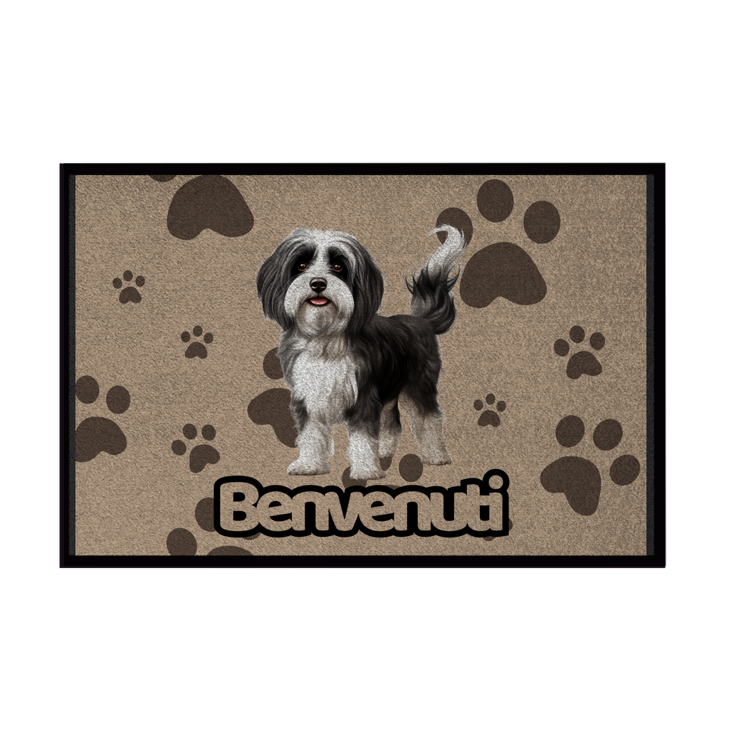 🐾 Zerbini -  Collezione Cani & Gatti - Benvenuti