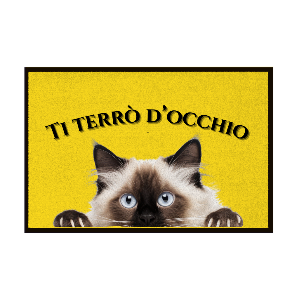 Zerbini - Collezione Cani & Gatti - Gatti curiosi