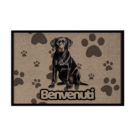 🐾  Zerbini - Collezione Cani & Gatti - Benvenuti