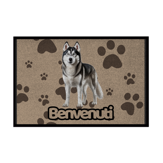 🐾  Zerbini - Collezione Cani & Gatti - Benvenuti