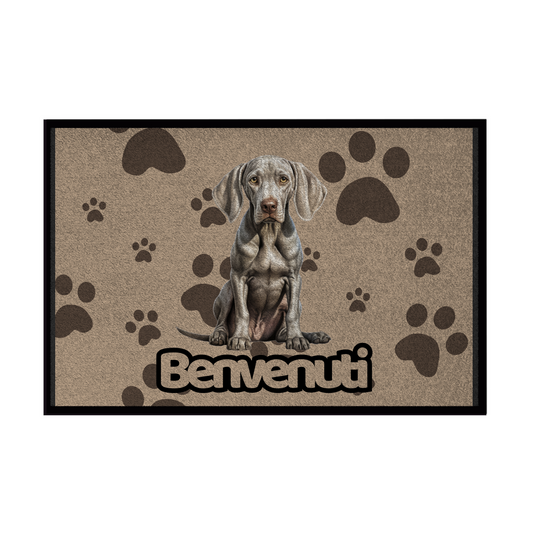 🐾 Zerbini -  Collezione Cani & Gatti - Benvenuti