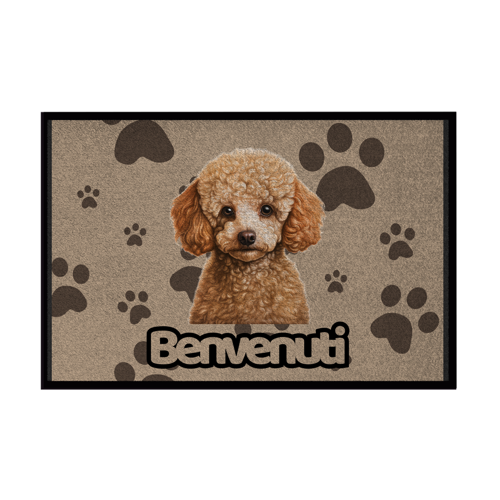 🐾  Zerbini - Collezione Cani & Gatti - Benvenuti