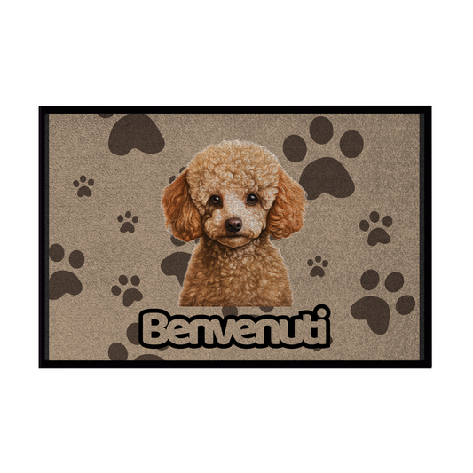 🐾  Zerbini - Collezione Cani & Gatti - Benvenuti