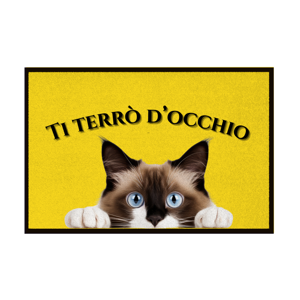 Zerbini - Collezione Cani & Gatti - Gatti curiosi
