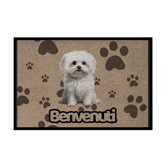 Zerbini - Collezione Cani & Gatti - Benvenuti