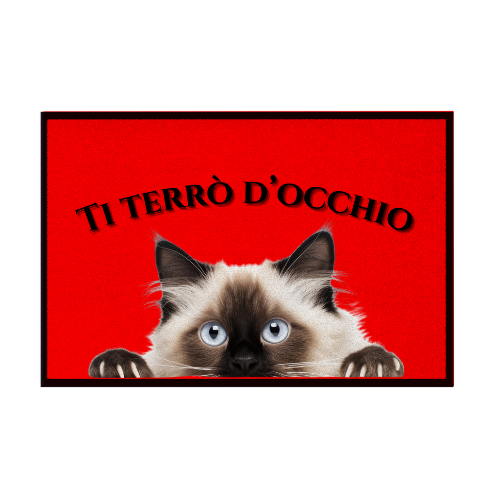 Zerbini - Collezione Cani & Gatti - Gatti curiosi