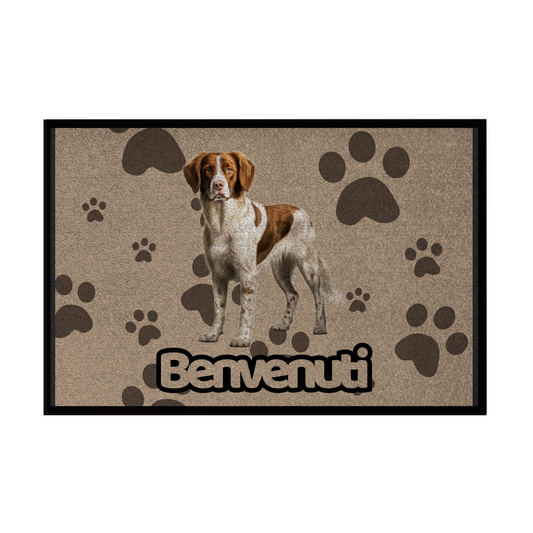 🐾 Zerbini -  Collezione Cani & Gatti - Benvenuti