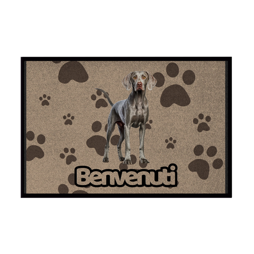 🐾  Zerbini - Collezione Cani & Gatti - Benvenuti