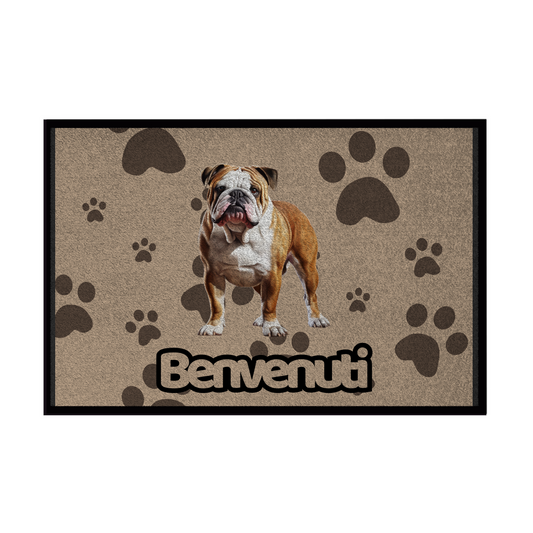 🐾 Zerbini -  Collezione Cani & Gatti - Benvenuti