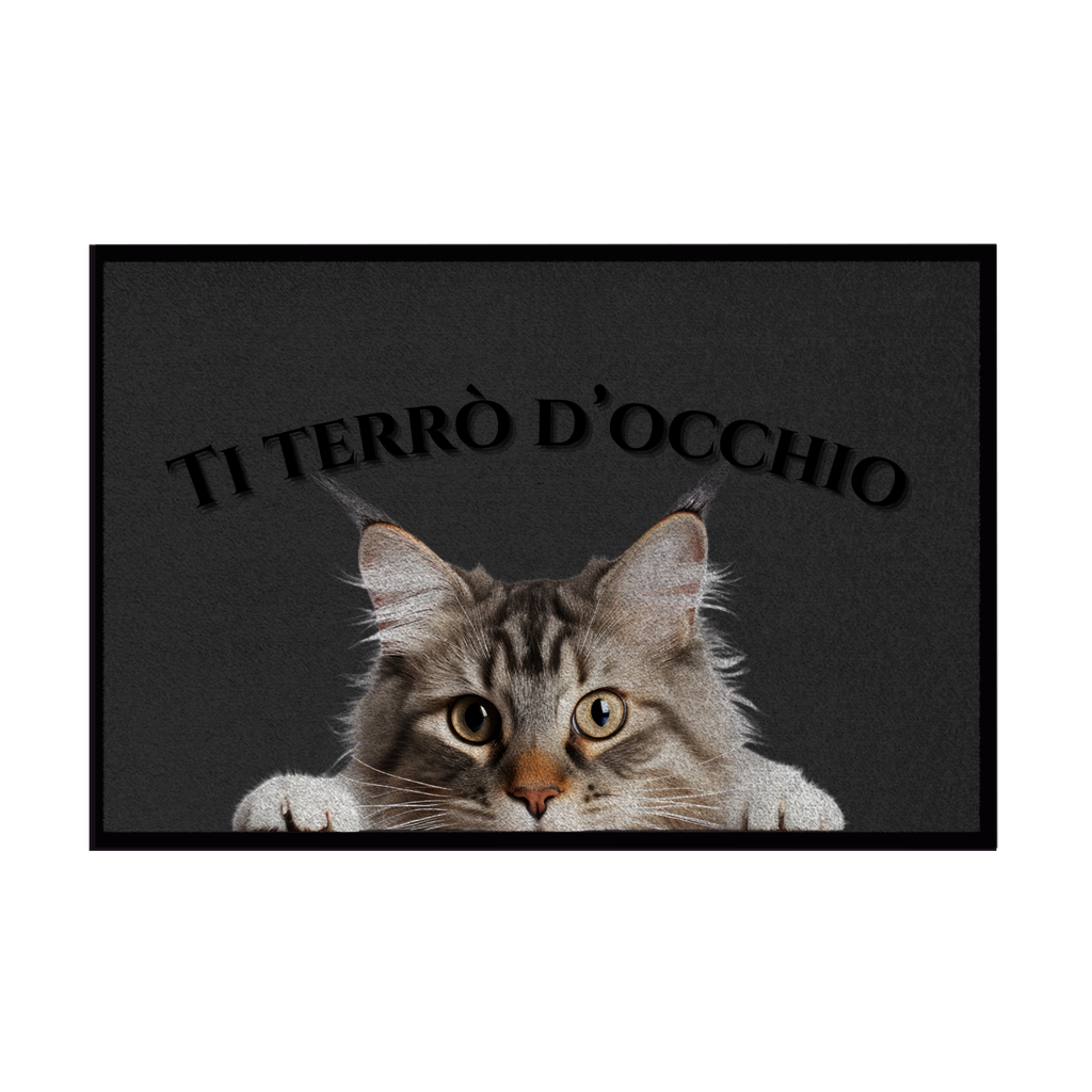 Zerbini - Collezione Cani & Gatti - Gatti curiosi