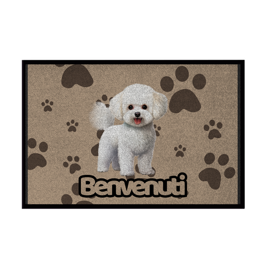 🐾 Zerbini -  Collezione Cani & Gatti - Benvenuti