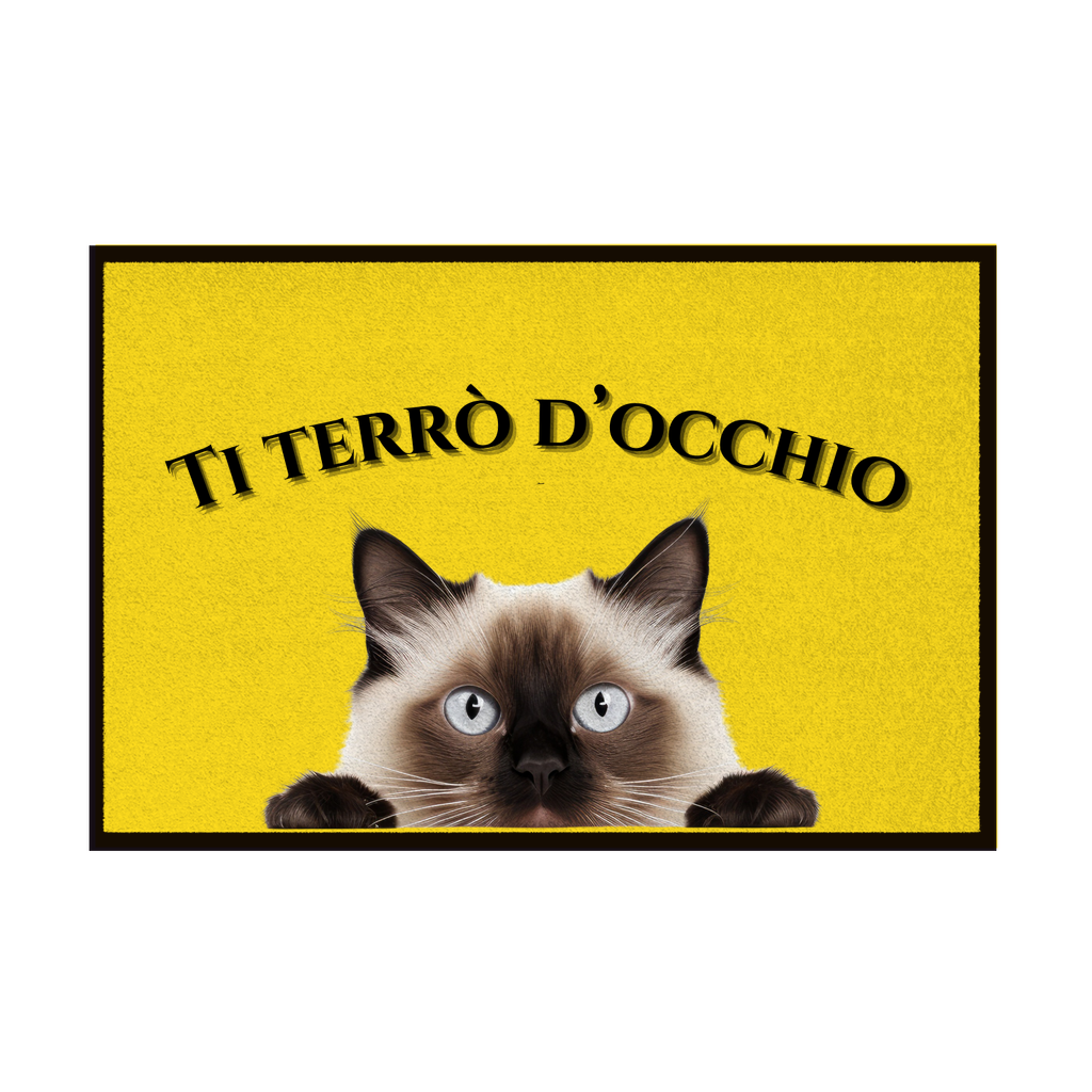 Zerbini - Collezione Cani & Gatti - Gatti curiosi