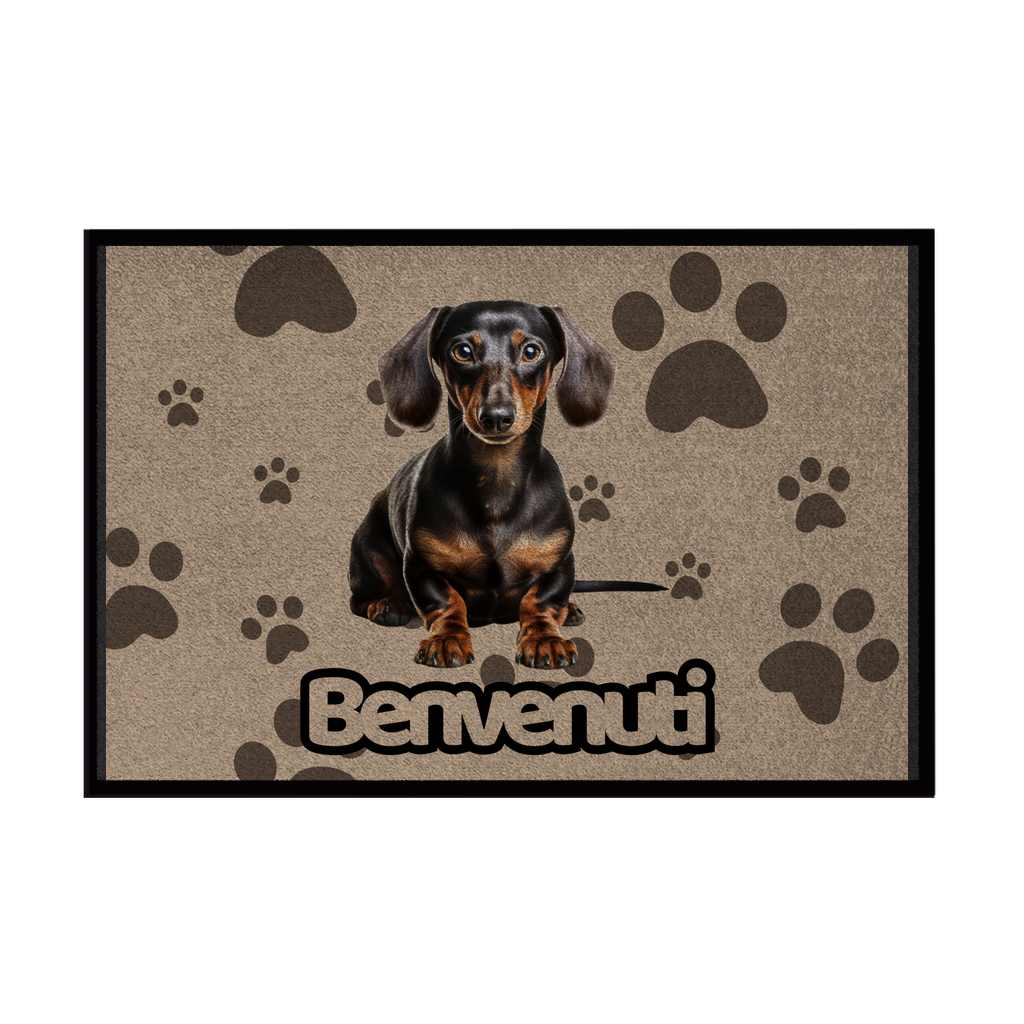 🐾  Zerbini - Collezione Cani & Gatti - Benvenuti