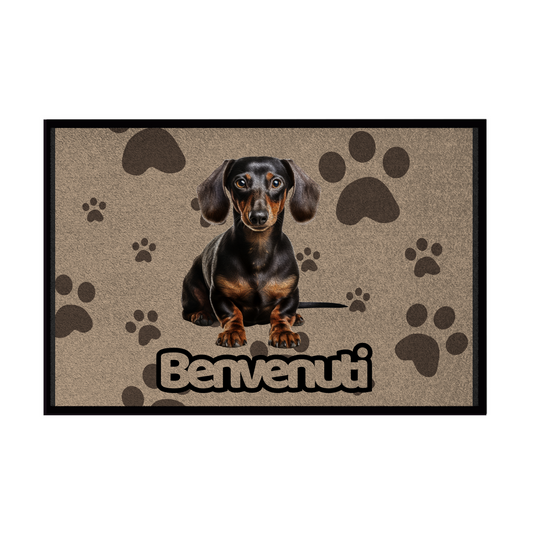 🐾  Zerbini - Collezione Cani & Gatti - Benvenuti