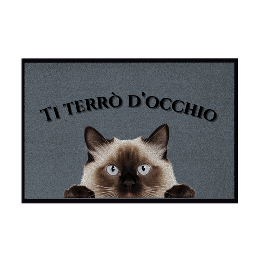 Zerbini - Collezione Cani & Gatti - Gatti curiosi