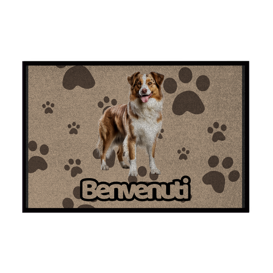 Zerbini - Collezione Cani & Gatti - Benvenuti