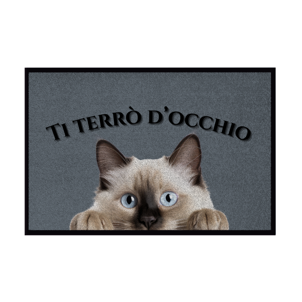 Zerbini - Collezione Cani & Gatti - Gatti curiosi