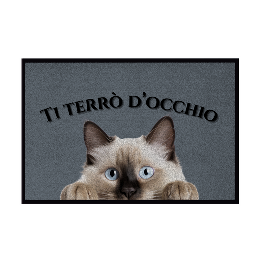 Zerbini - Collezione Cani & Gatti - Gatti curiosi