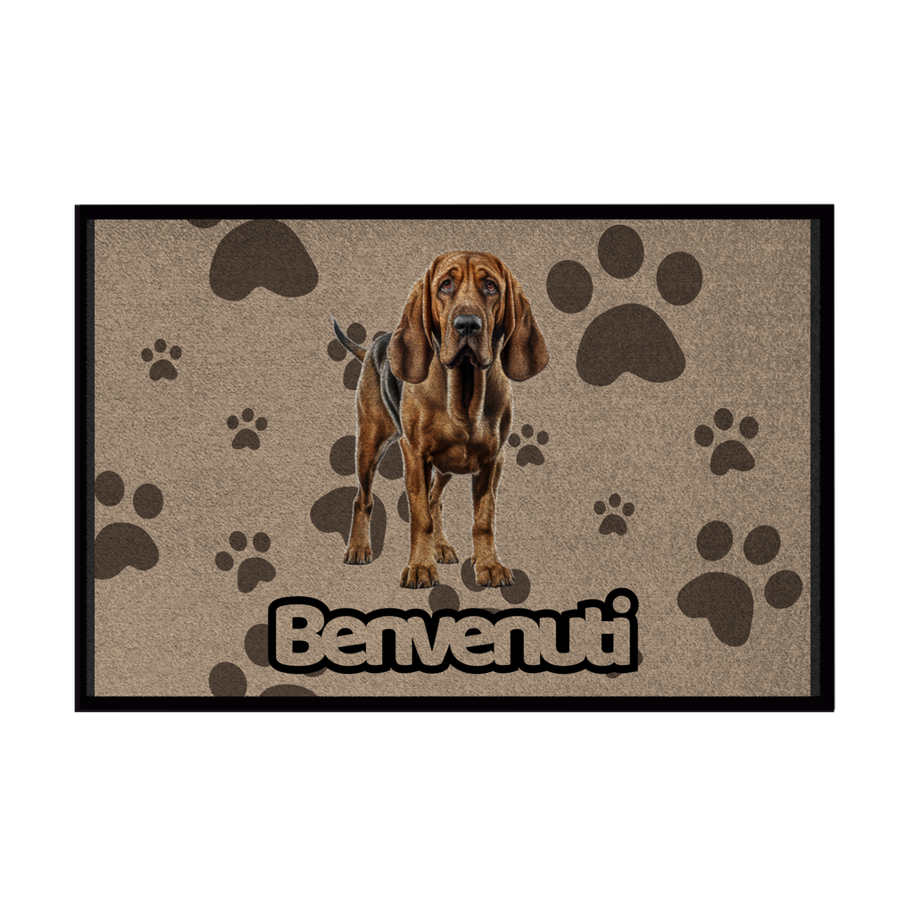 Zerbini - Collezione Cani & Gatti - Benvenuti