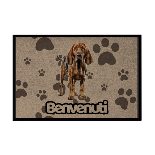 Zerbini - Collezione Cani & Gatti - Benvenuti
