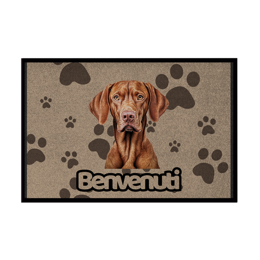 🐾  Zerbini - Collezione Cani & Gatti - Benvenuti