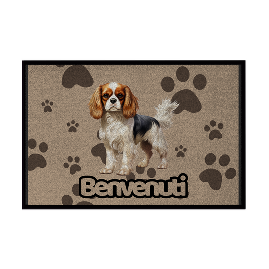 🐾 Zerbini -  Collezione Cani & Gatti - Benvenuti