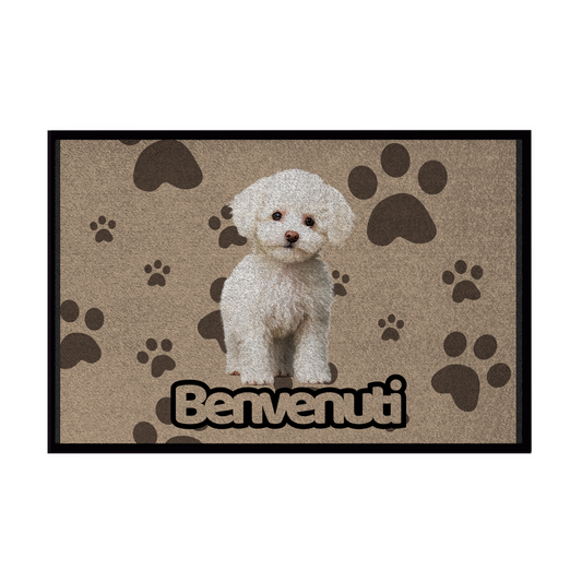 🐾 Zerbini -  Collezione Cani & Gatti - Benvenuti