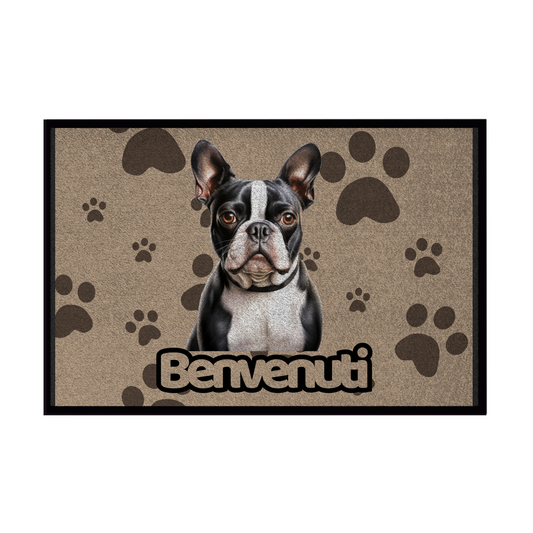 Collezione Cani & Gatti -Benvenuti