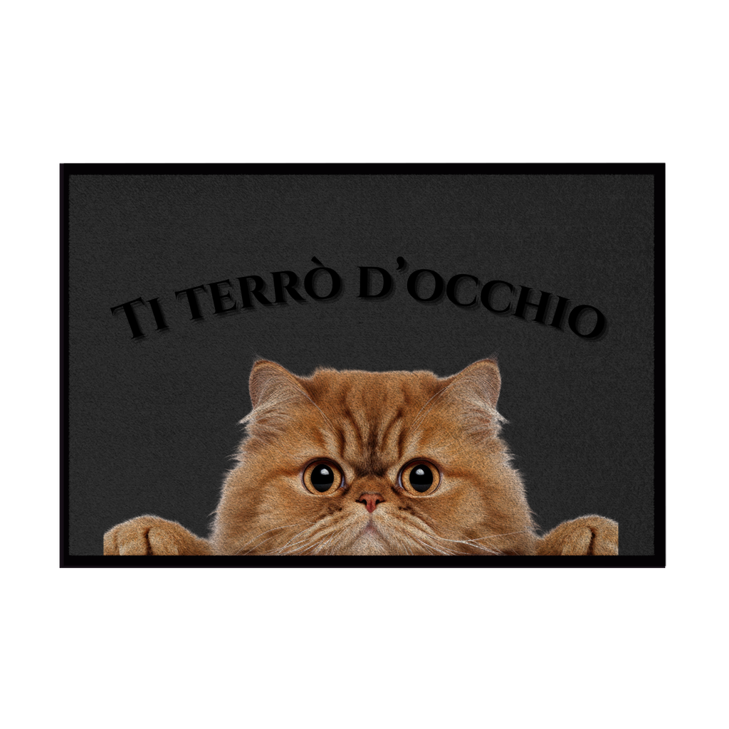 Zerbini - Collezione Cani & Gatti - Gatti curiosi