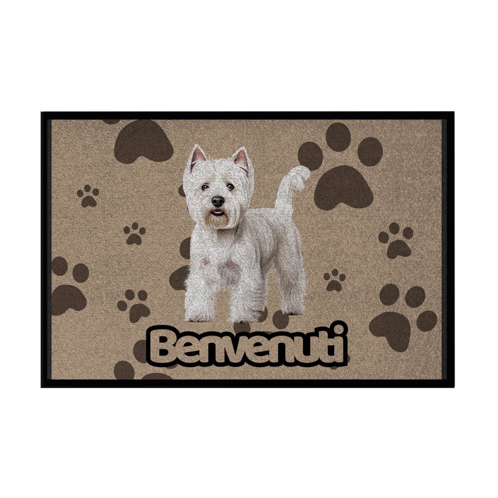 🐾  Zerbini - Collezione Cani & Gatti - Benvenuti