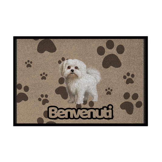 🐾  Zerbini - Collezione Cani & Gatti - Benvenuti