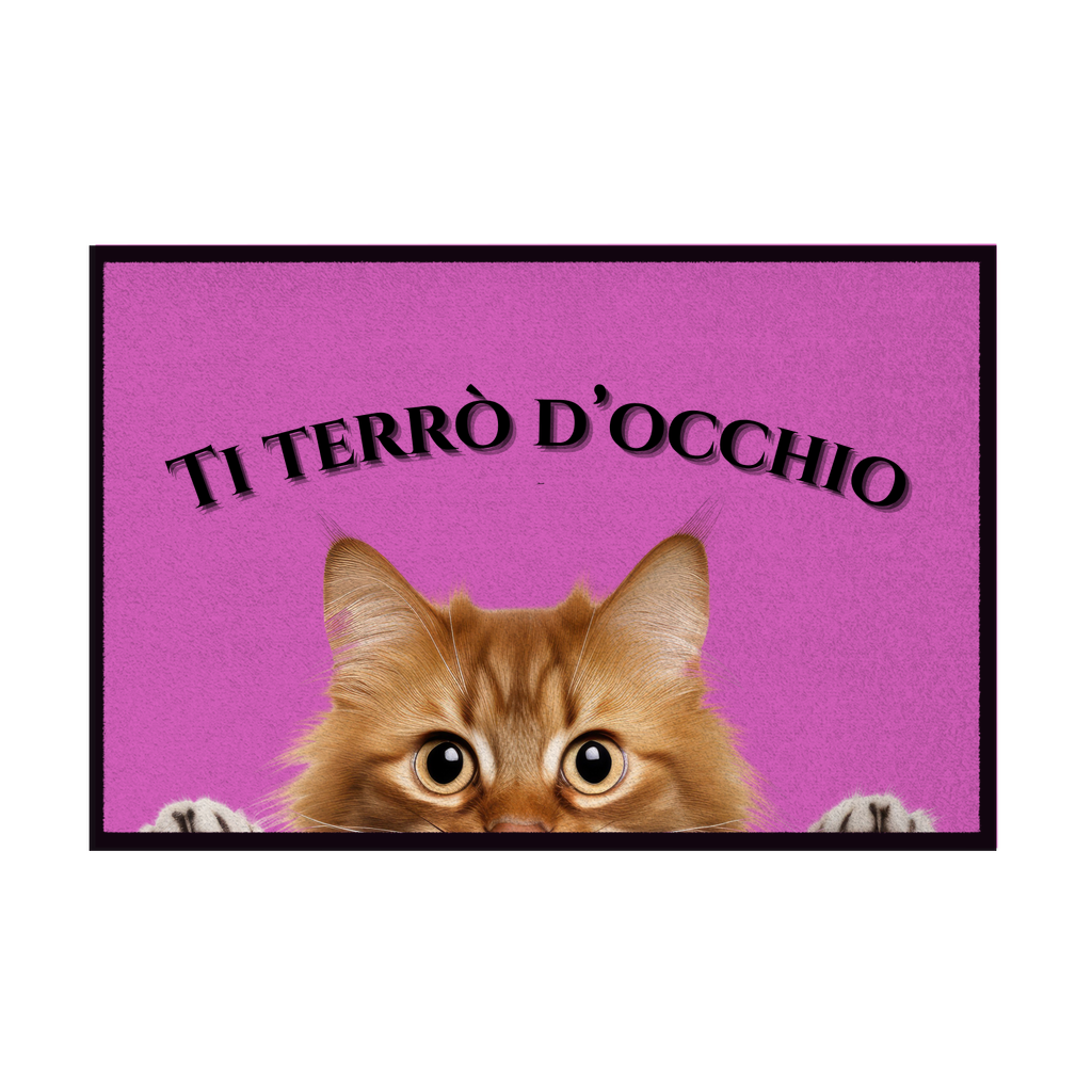 Zerbini - Collezione Cani & Gatti - Gatti curiosi