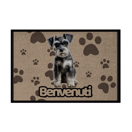 🐾  Zerbini - Collezione Cani & Gatti - Benvenuti