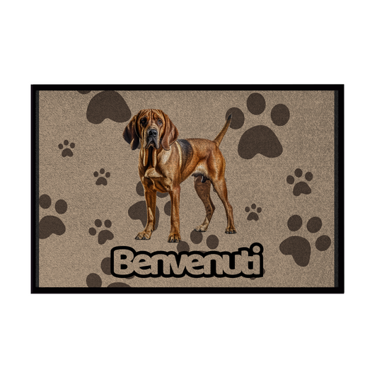 🐾 Zerbini -  Collezione Cani & Gatti - Benvenuti