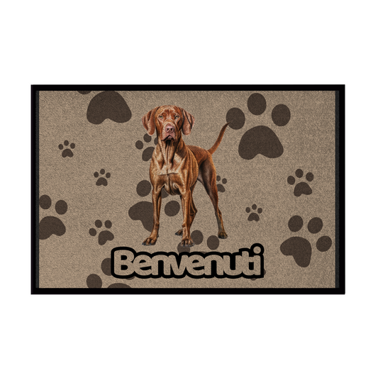🐾 Zerbini -  Collezione Cani & Gatti - Benvenuti
