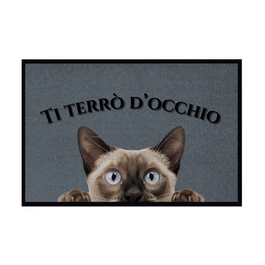 Zerbini - Collezione Cani & Gatti - Gatti curiosi