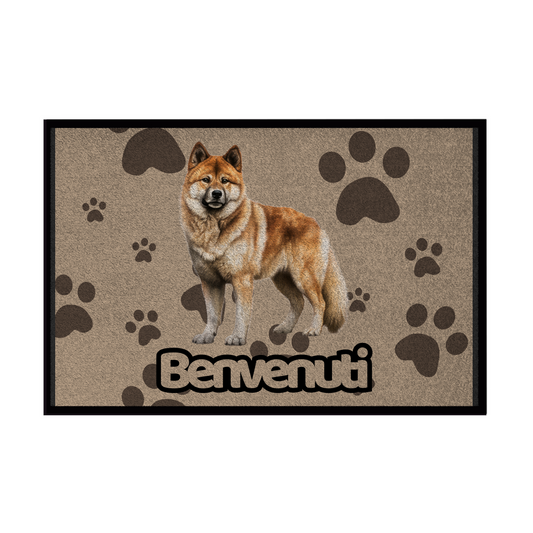 🐾Zerbini -  Collezione Cani & Gatti - Benvenuti