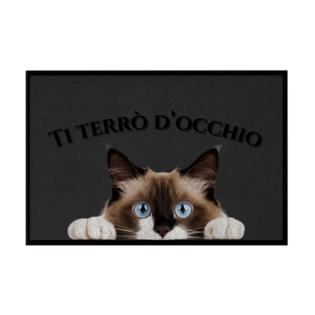 Zerbini - Collezione Cani & Gatti - Gatti curiosi