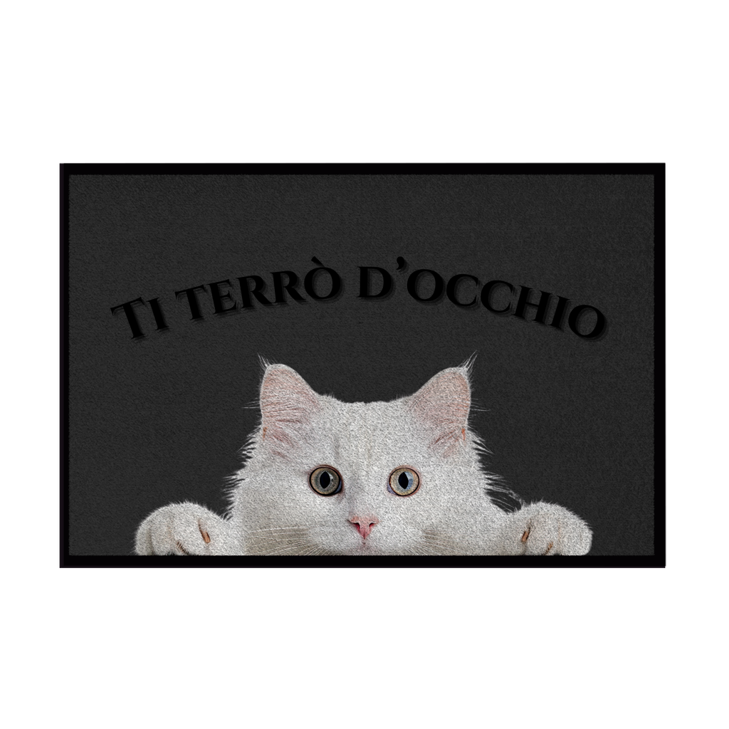 Zerbini - Collezione Cani & Gatti - Gatti curiosi