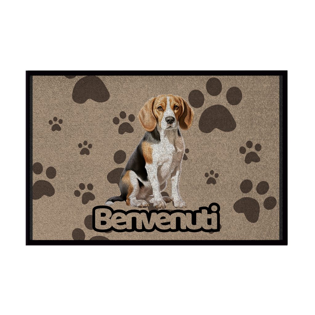🐾  Zerbini - Collezione Cani & Gatti - Benvenuti