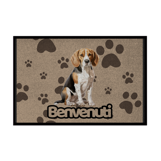 🐾  Zerbini - Collezione Cani & Gatti - Benvenuti