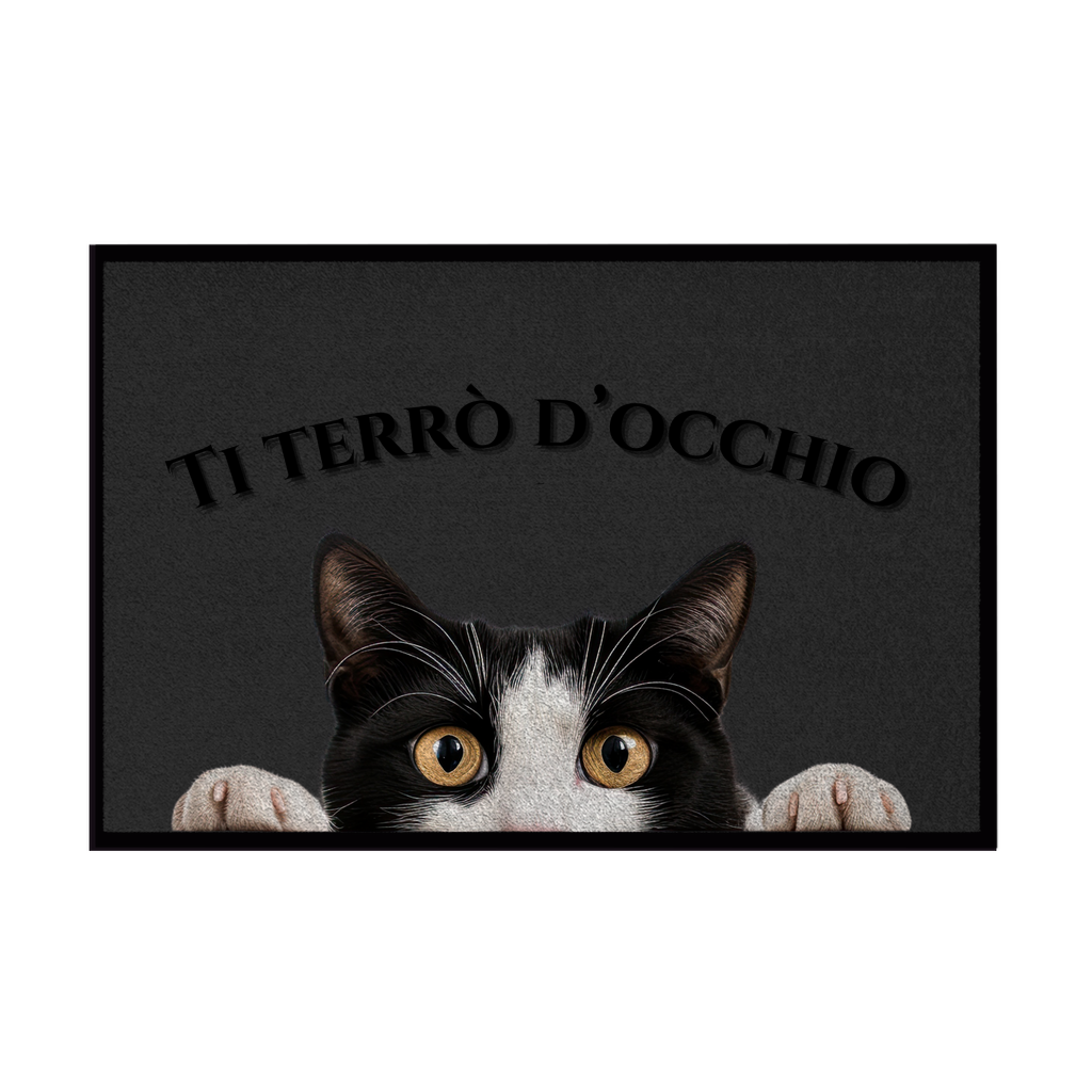 Zerbini - Collezione Cani & Gatti - Gatti curiosi