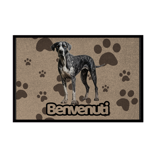 🐾  Zerbini - Collezione Cani & Gatti - Benvenuti