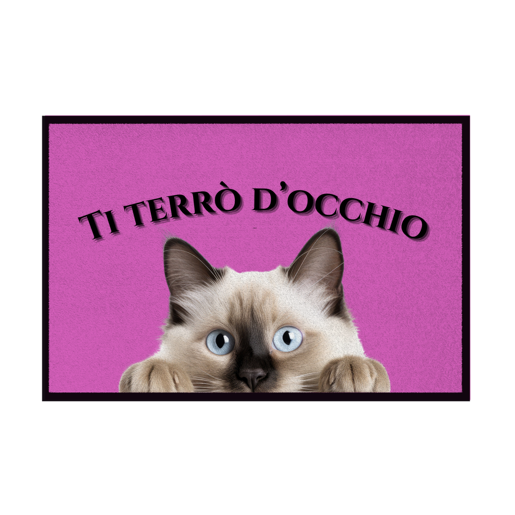 Zerbini - Collezione Cani & Gatti - Gatti curiosi