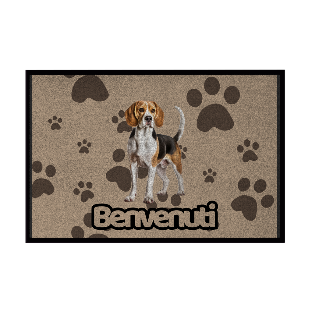 🐾 Zerbini -  Collezione Cani & Gatti - Benvenuti