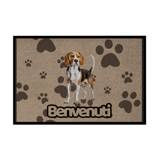 🐾 Zerbini -  Collezione Cani & Gatti - Benvenuti