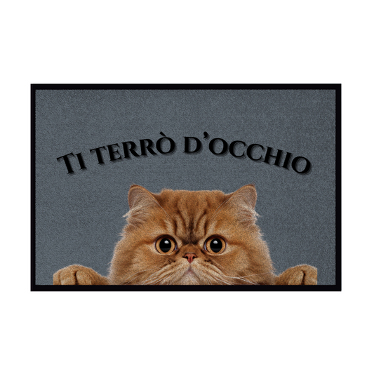 Zerbini - Collezione Cani & Gatti - Gatti curiosi