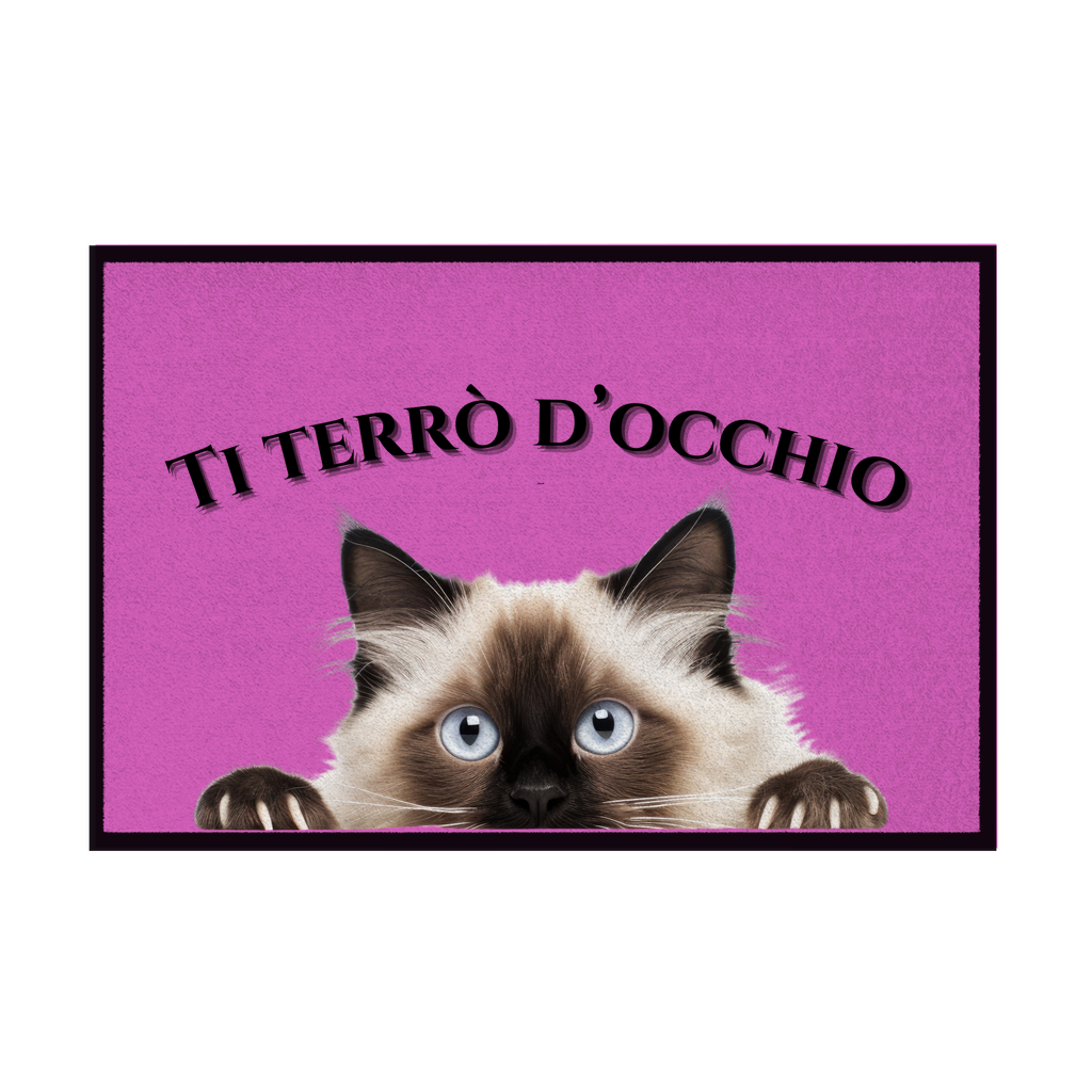 Zerbini - Collezione Cani & Gatti - Gatti curiosi