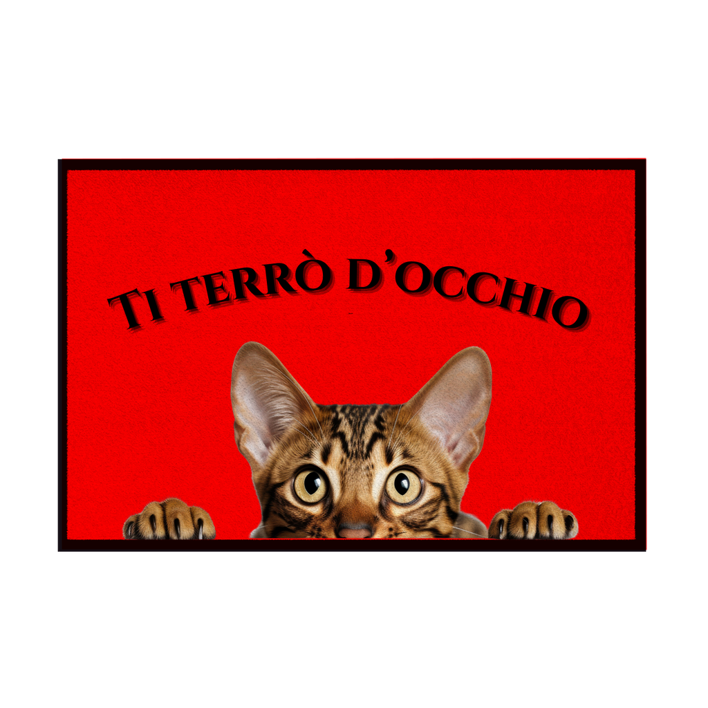 🐾 Zerbini - Collezione Cani & Gatti - Gatti curiosi